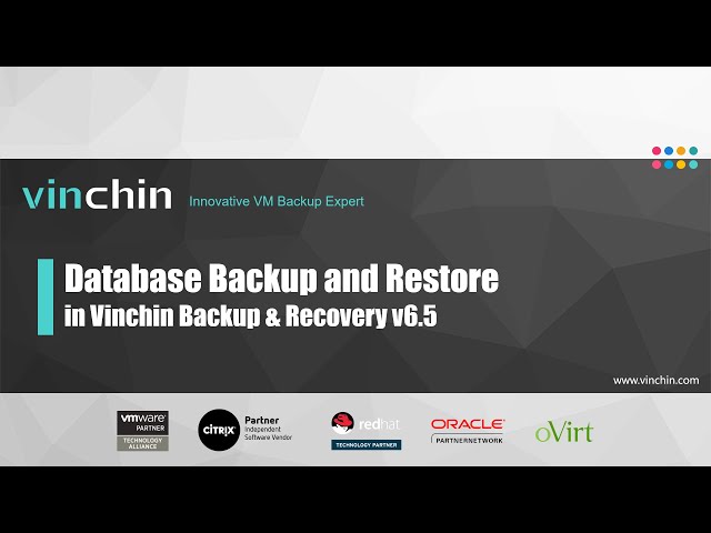 Database Backup and Restore in Vinchin Backup & Recovery v6.5