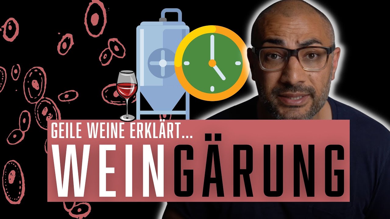 Der Prozess der alkoholischen Gärung beim Wein einfach erklärt ...