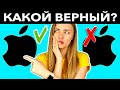 НАСКОЛЬКО РАЗВИТА ТВОЯ ПАМЯТЬ? РЕШАЕМ Тесты и загадки на память и логику Ната Лайм и Артем