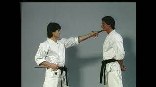 Download Lagu mastering the sai 1 fundamental techniques kim murray curt sawyer karate kobudo weapons okinawan MP3