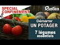 Mon premier potager  7 lgumes essentiels pour jardiniers en herbe