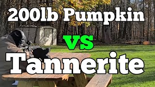 Blowing Up A 200lb Pumpkin