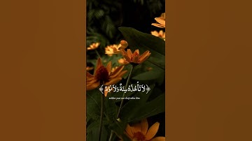 الشيخ عبد الباسط عبد الصمد #تجويد_القرآن #تلاوة_خاشعة #تلاوه #اكسبلور #قران #قران_كريم #الله #اللهم