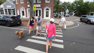 ⁴ᴷ⁶⁰ Cycling to Southampton from East Hampton, Suffolk County, Long Island, NY (August 15, 2020)