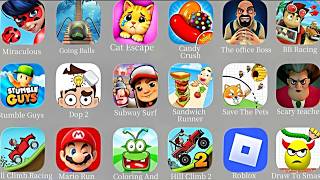 Cat Escape, Save The Pets, Save the Dog, Dop 2,Roller Ball, Dop 2 screenshot 4