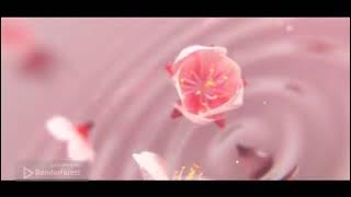 فاصل قناة الحياة 2 قديم 2015 2013 2017 2011 2016