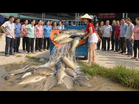 [ TIMELAPSE ] Selling Giant Fresh Carp at the Wholesale Market | Timelapse Hoai Countryside Life