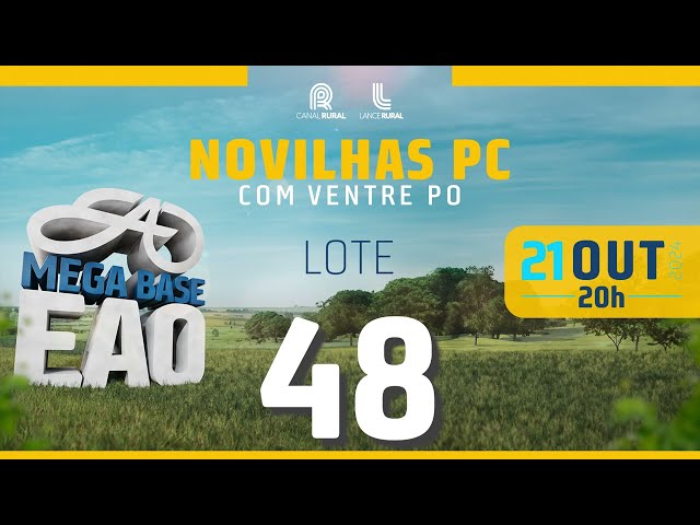 LOTE 48