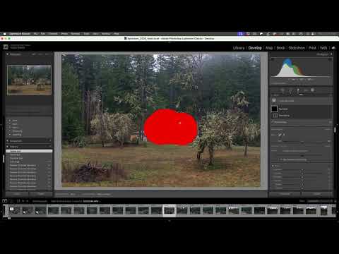 My Photo editing workflow - Members Cut.