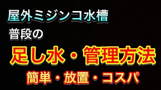 屋外ミジンコ水槽 普段の足し水 管理方法 簡単 放置 コスパ Youtube