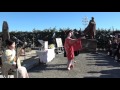 熱海(ATAMI) 第75回尾崎紅葉祭 金色夜叉 2017.1.17