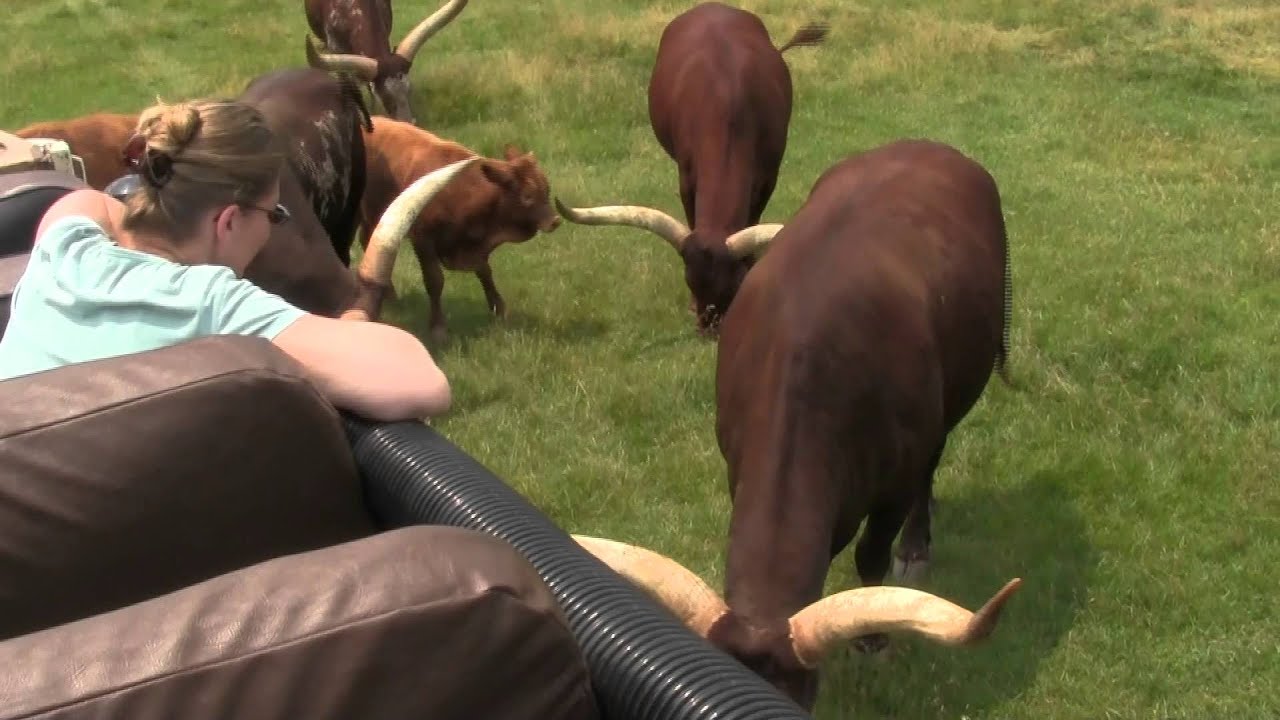 Lake Tobias Wildlife Park