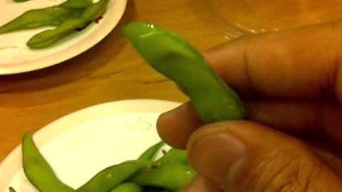 BlackBerry Torch 9800 video recording Idamame