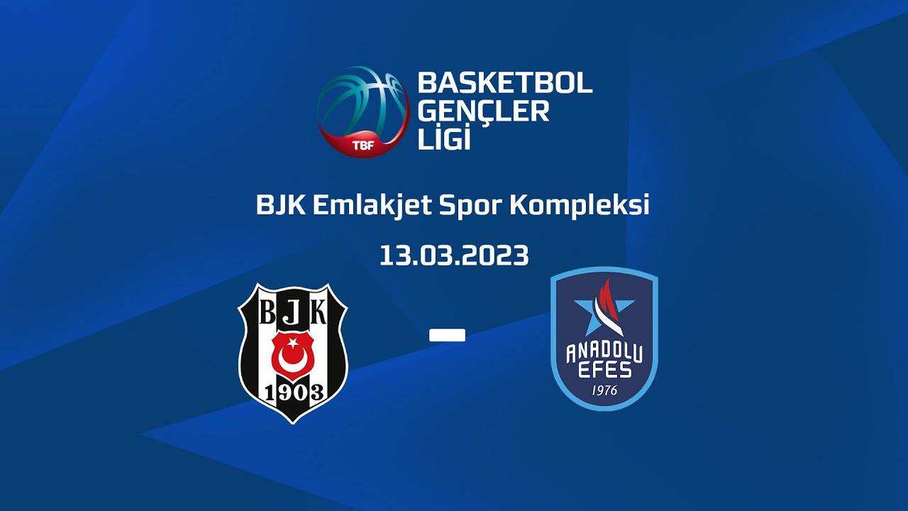 Beşiktaş JK Basketbol