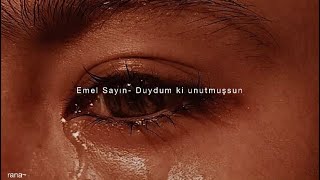 Emel Sayın- Duydum ki unutmuşsun (sözleri~) Resimi