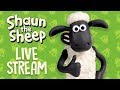 La Oveja Shaun Live Stream