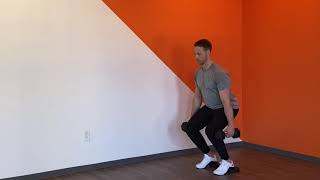 Dumbbell Heels Elevated Suitcase Squat