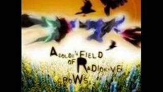 Video thumbnail of "77s - A Golden Field of Radioactive Crows - Related"