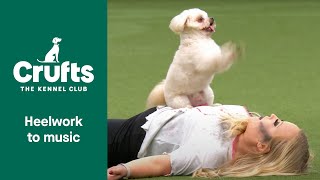 Freestyle Heelwork to Music Competition  Part 1 | Crufts 2022