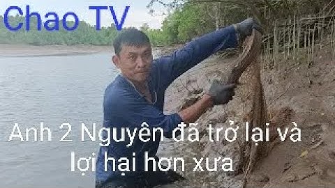 Lặn cá ngát kinh Bình Đại Bến Tre phần 2, Chao TV