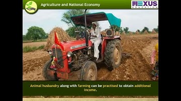 The Green Revolution-ikenschool