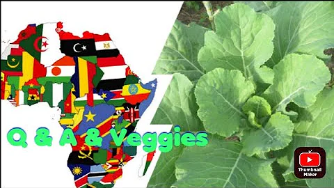 Why Do These Scenarios Seem Normal In My African C...