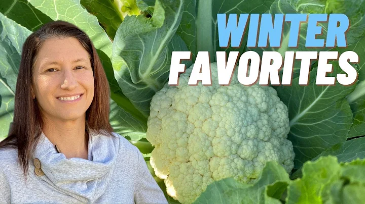 TOP 5 FAVORITE VEGETABLES TO GROW IN FLORIDA DURING THE WINTER