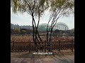김정/사랑이지나가면(원곡이문세)