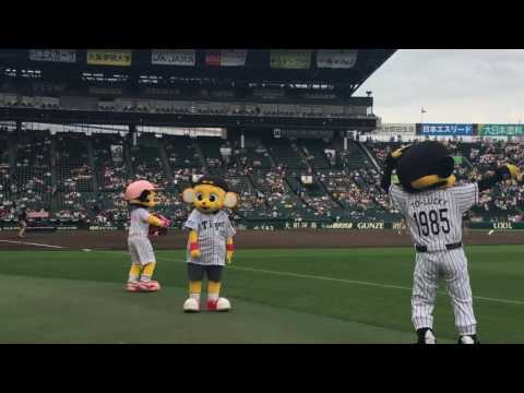2016/06/15 阪神対オリックス戦 選手紹介時のトラッキー ラッキー キー太