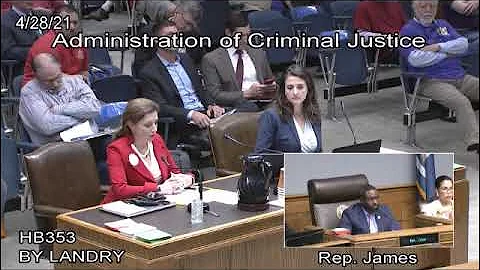 Rep  Aimee Freeman on Restricting Gun Rights of Do...