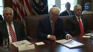 President Trump Leads a Cabinet Meeting