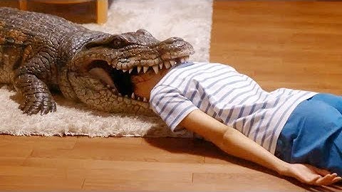 ワニを使っての“死んだふり”シーン／映画『家に帰ると妻が必ず死んだふりをしています。』本編映像