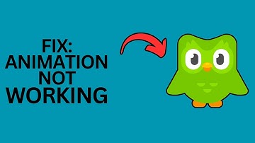 How to Fix Duolingo Animation Not Working?