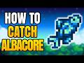 Stardew Valley – How To Catch Albacore Fish | Best Location And Time To Get Albacore