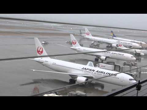 羽田空港国内線第1ターミナル　北ウイング　JAL　Haneda Airport domestic airline first terminal north wing JAL