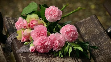 #Quran #قران ArRa'd سورة الرعد القارئ أحمد جلال الشلبي ahmad jalal alshlby