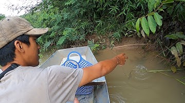 Thử CẮM CÂU CÁ LĂNG ở suối Rạc