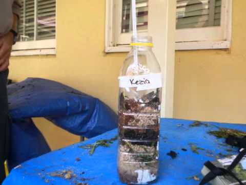Compost Bottle You Compost Bottle