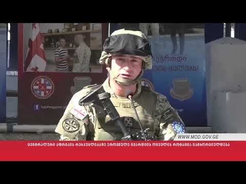 ქართული ოცეული ცენტრალურ აფრიკაში გაემგზავრა