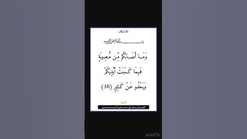 سورة الشورى - سورة 42 - اية 30