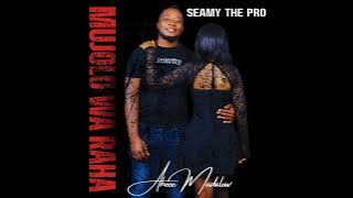 Seamy the pro mujolo wa raha 