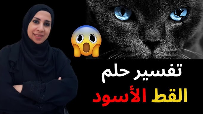 تفسير حلم القطط السوداء: هل هي نذير شؤم حقًا؟ - تفسيرات مختلفة لحلم القطط السوداء