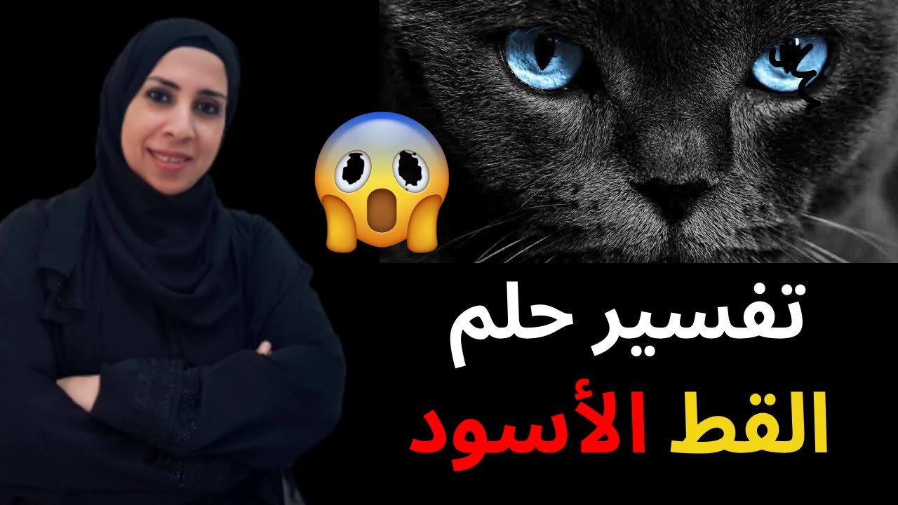 أخطر الأحلام حلم رؤية القط الأسود فى المنام , تفسير رؤيا القطط السوداء فى الحلم تحذير هام |نهال مجدى