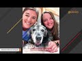 Someone left this deaf senior dog at the shelter. A family gave her another chance.