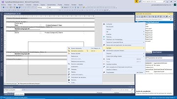 Crystal Reports para Visual Studio - 05. Subinformes