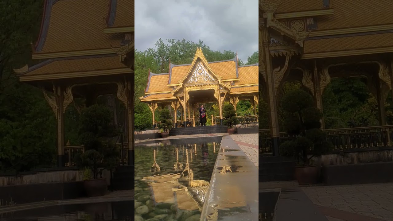 Oops! Accidental time-lapse led to Benny Hill-style poetry at the Madison Thai sala instead 🙄📚