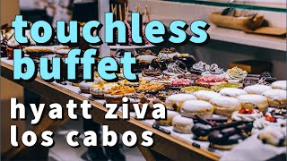 Full Hyatt Ziva Los Cabos | Touchless Buffet | October 2021 News