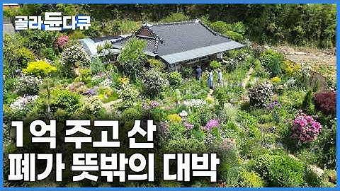 “나 이렇게 부자여도 되나?” 당시 아파트 가격 1억 주고 240평 폐가 딸린 땅을 샀더니｜천국보다 아름다운｜꿈꾸는 마당｜시골 폐가 리모델링｜건축탐구 집｜#골라듄다큐