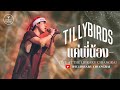 แค พ น อง Status Tilly Birds LIVE THE LIBRARY CHIANGRAI
