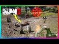 What Happens If You Perform A Sacrifice At The Pagan Ritual Site In Red Dead Redemption 2? (RDR2)
